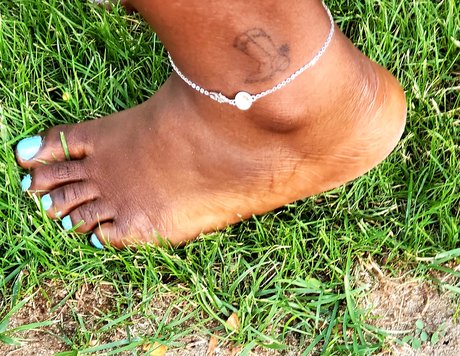 Southern Sole pornostar freie archiv