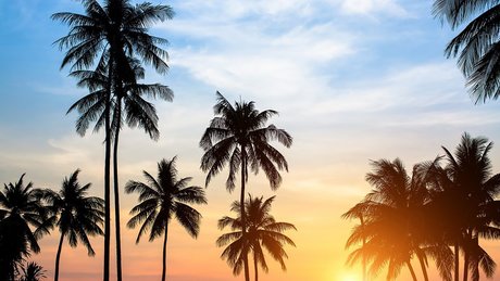 The Mandingo Club XXX VIP PREMIUM_ erotische pornostar galerie