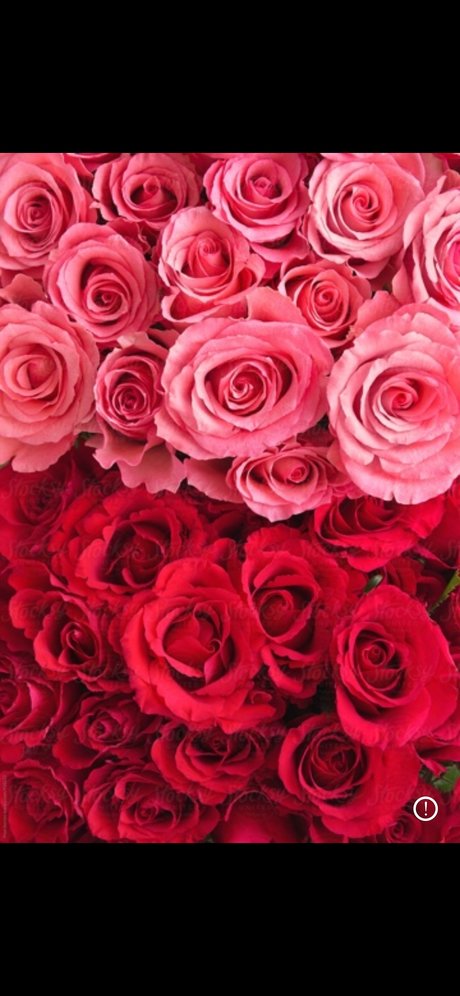 YKandyYaang_ freie beste galerien