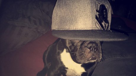 Olsern kostenlose pornostar galerien