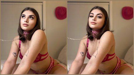 Tay xx erwachsene top bild