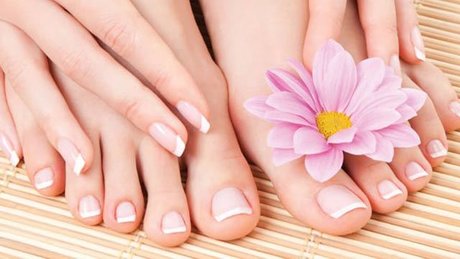 Thalia Rosa kostenlose beste galerie