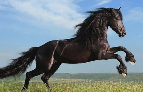 lillliiillllii exklusive xxx archiv