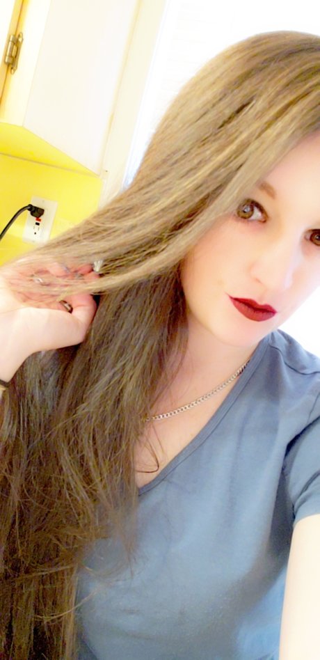 Gemini Fox kunst hd galerien