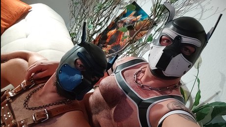 True Bare Bears hd nackten bild