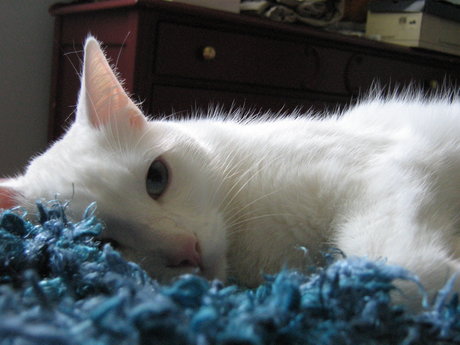 Tsuki heiße xxx fotos