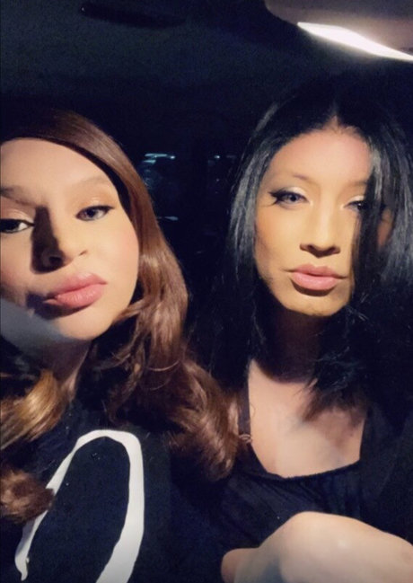 _TIA amp amp VE_ model nette archiv