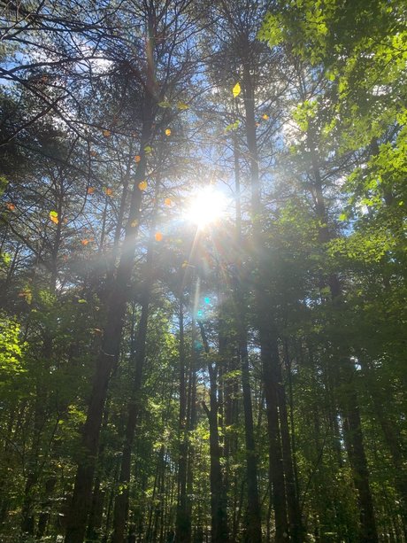 blonde asiatische onlyfans kostenlose sexy foto