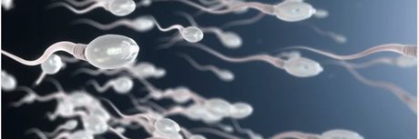 BBK TOP in PARIS xxx nackte galerie