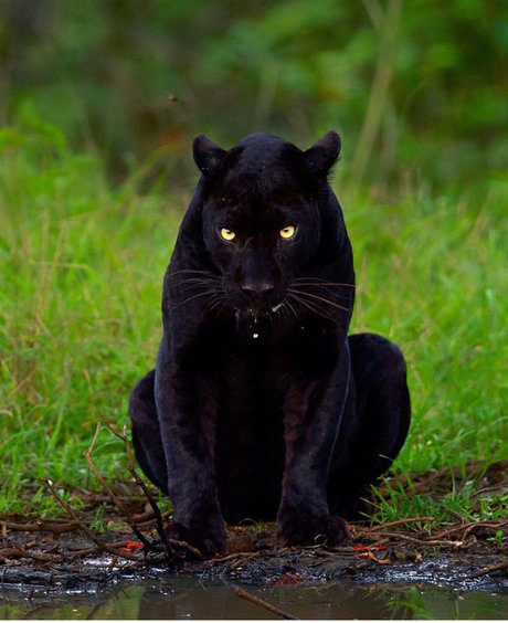 Zeek sexy nette galerie