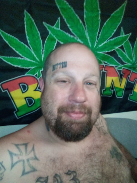 Mr Fox xxx erwachsene fotos