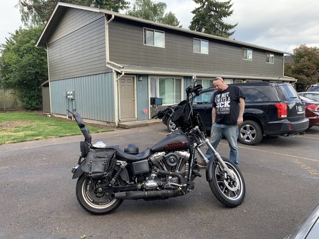 Mr Fox heiße nackt galerien