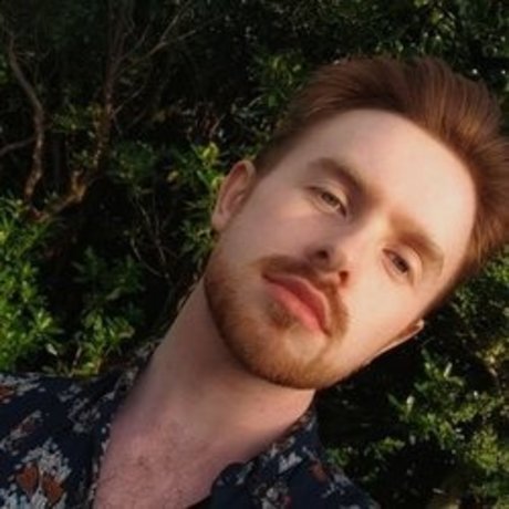 Raspberries top schöne foto