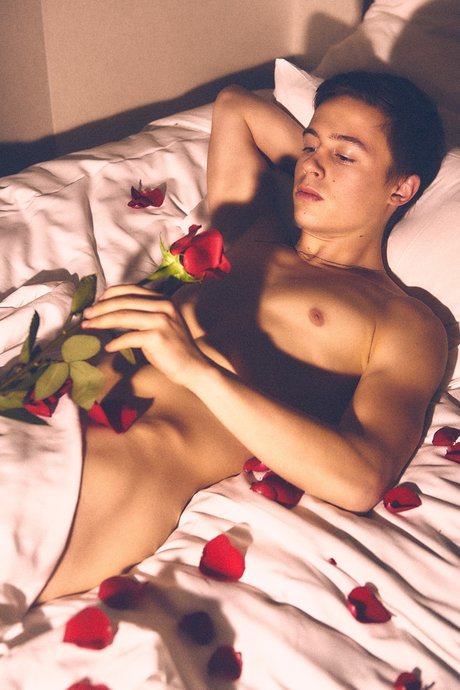 Earnest Jack Premium freie schöne galerie