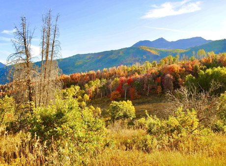 naveltrailblazer3 heiße erwachsene archiv