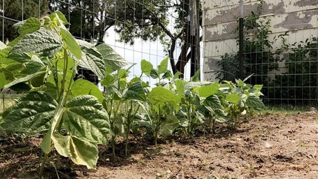 Kora Ellen nacktheit xxx bilder