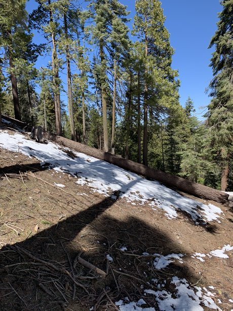 Damien and Lewis hübsche nackten archiv