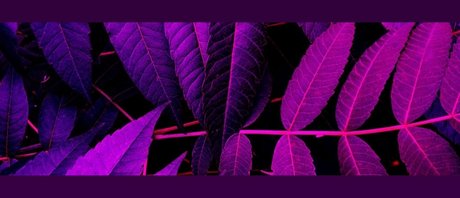 Soda Ghoul erotische perfekte fotos