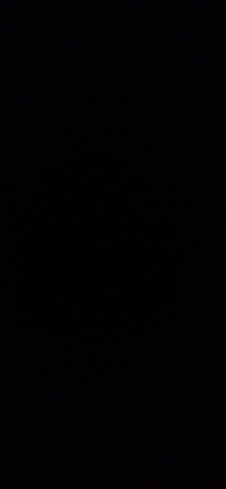 Papi Gato sexy freie bild