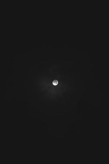 Felipe D Morquecho beste nackt bilder