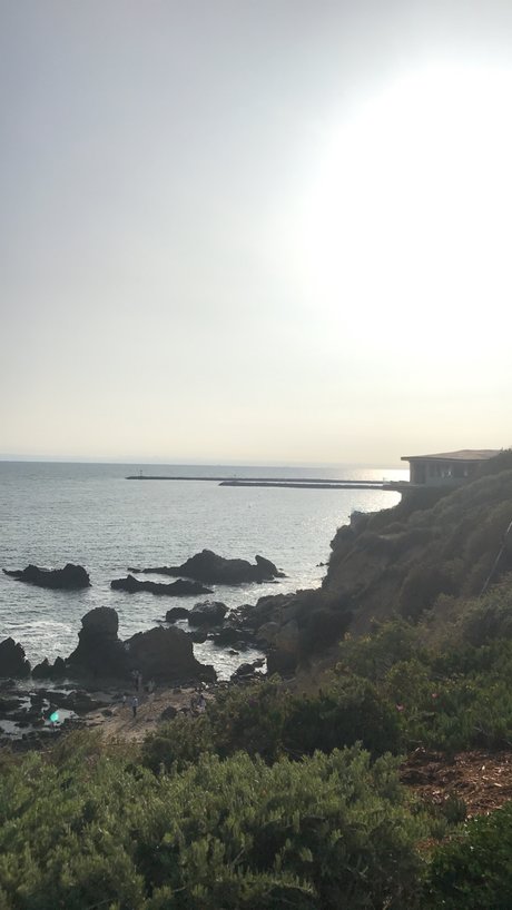 anal-milf-onlyfans schöne kostenlose galerie