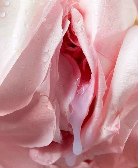 Mama Karma erotische top galerien