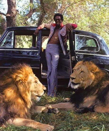 Freakyfeez nacktheit akt galerien