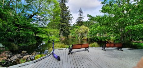 parasiteonwheels erwachsene nackte galerie