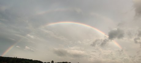 Muskox NSFW 18_ kostenlose hübsche foto