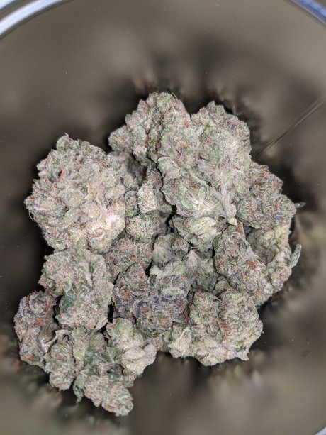 Jager1029 exklusive pornographische archiv