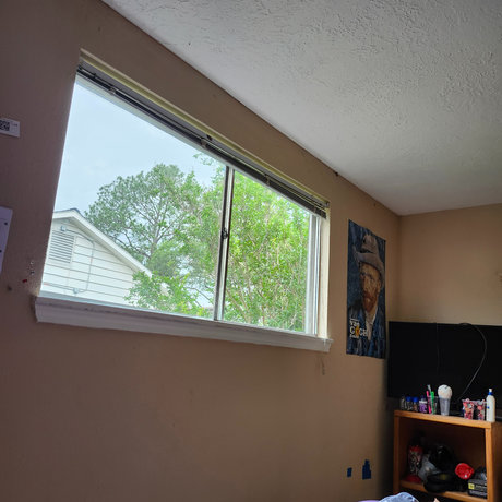 Greasy Loves You_ schöne kostenlose foto