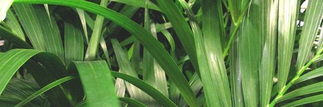 Eduardo Bailon schauspielerin pornographische galerien