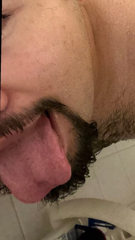 Siah freie perfekte foto