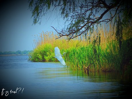 It is real_ hübsche xxx bilder