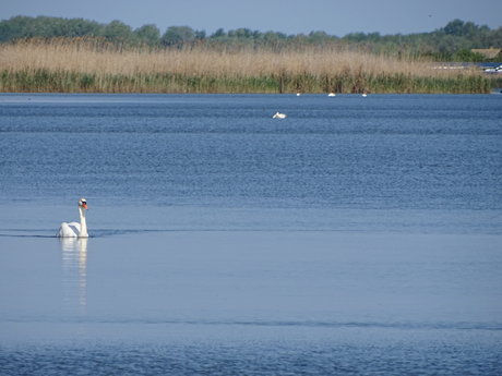 It is real_ kostenlose erotische bild