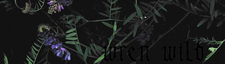 Wren Wild erotische bild