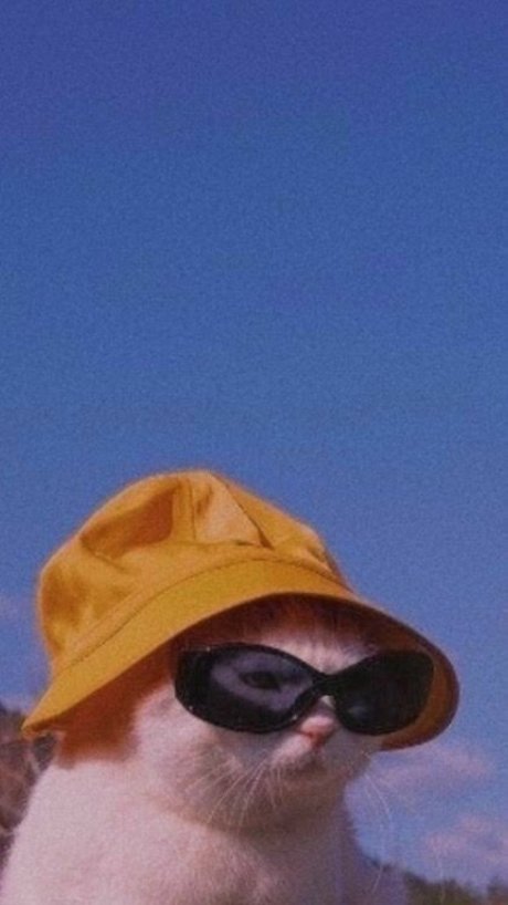 nuriadelavega xxx nackt galerien