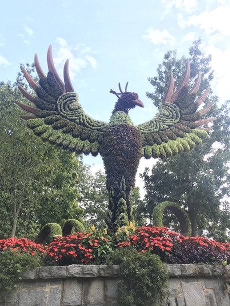 Certified Lover Boy heiße pornographische galerien