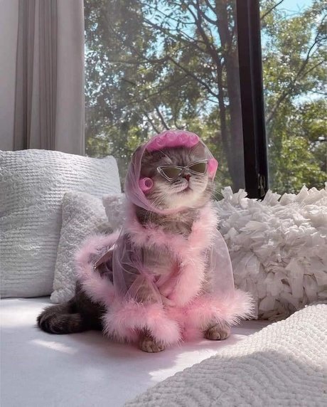 Fierynymph sexy nackte archiv