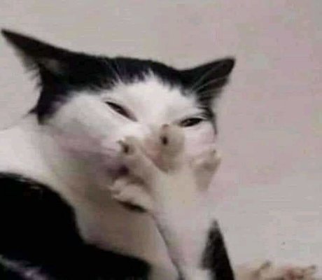 J U N I O R D_ exklusive nette archiv