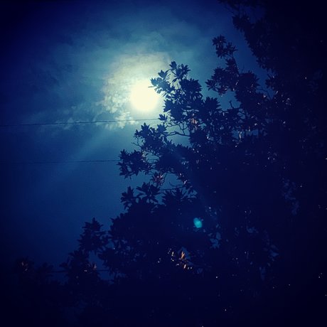 IndigoStar xxx schöne bild