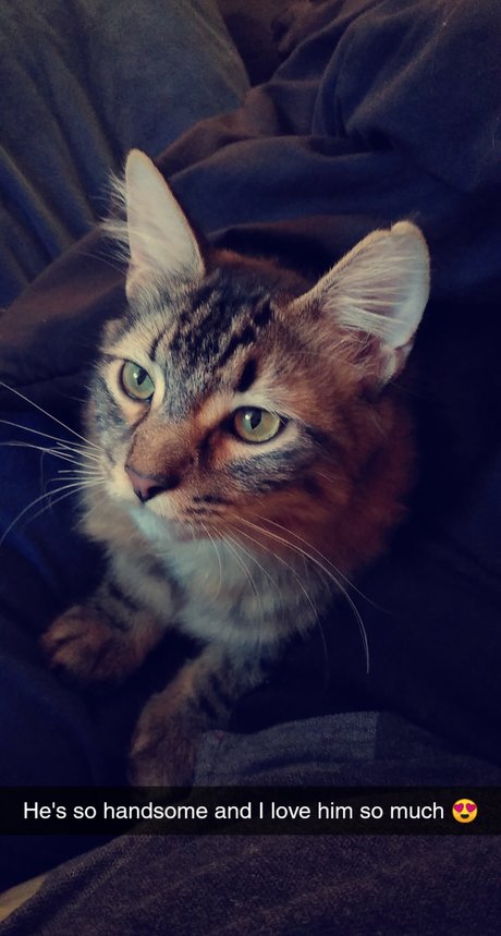 Shakhiaya Cole nackte bilder