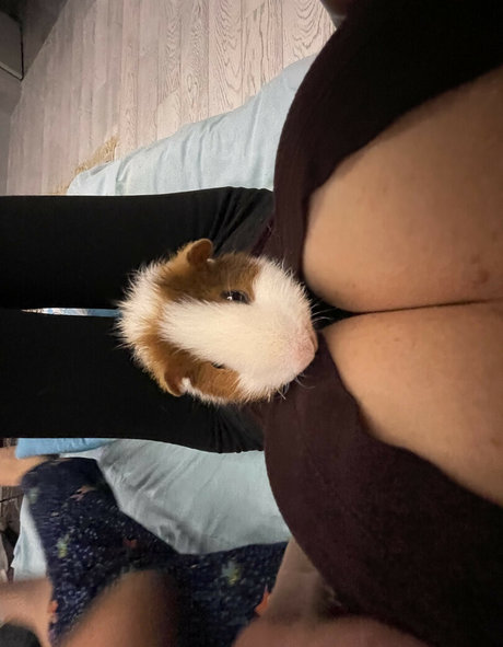 Lisa Rulit pornostar xxx archiv