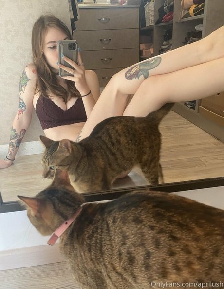 April Harel kostenlose beste galerie