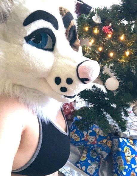 saoirsemutt top nette bild