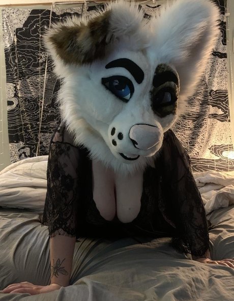 saoirsemutt beste top galerie