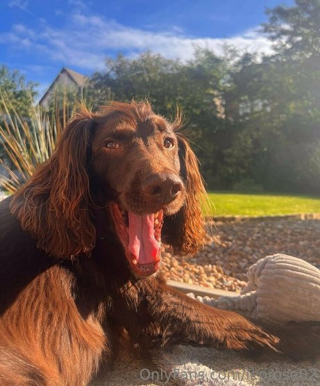 leorose02 freie nackte bilder