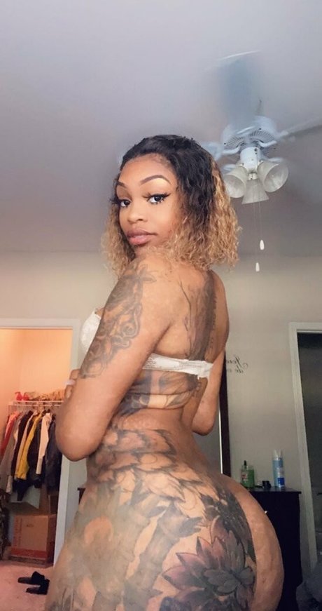 perfectprices exklusive perfekte bild