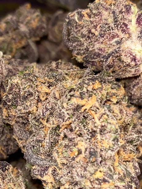 Top Shelf Freak_ top exklusive galerien