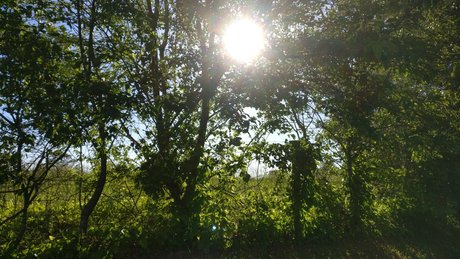 Muro nackt erwachsene bild